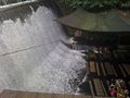 Don Placido Escudero Dam