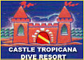 Thumbnail for version as of 06:23, 11 March 2009