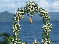 Tlyc-hobie-wedding.jpg