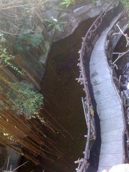 File:Tomacruz-2010-02-05-13-44-46.jpg