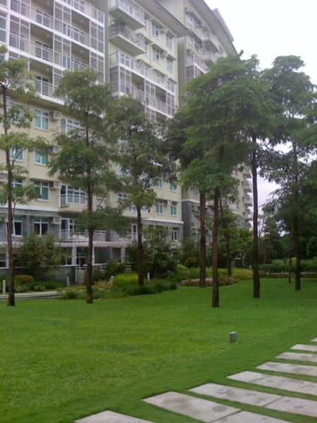 File:Tomacruz-2009-08-06-13-41-42.jpg