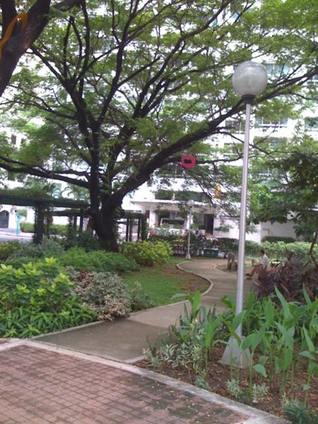 File:Tomacruz-2009-08-30-21-16-38.jpg