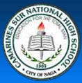Camarines Sur National High School