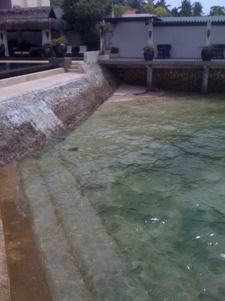 File:Tomacruz-2009-05-30-13-52-38.jpg