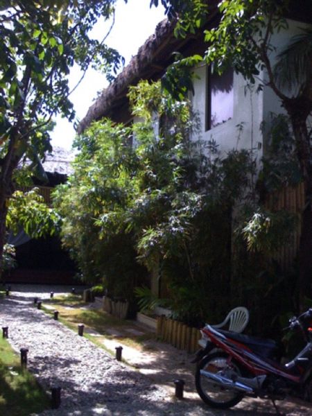 File:Tomacruz-2009-01-19-18-34.jpg